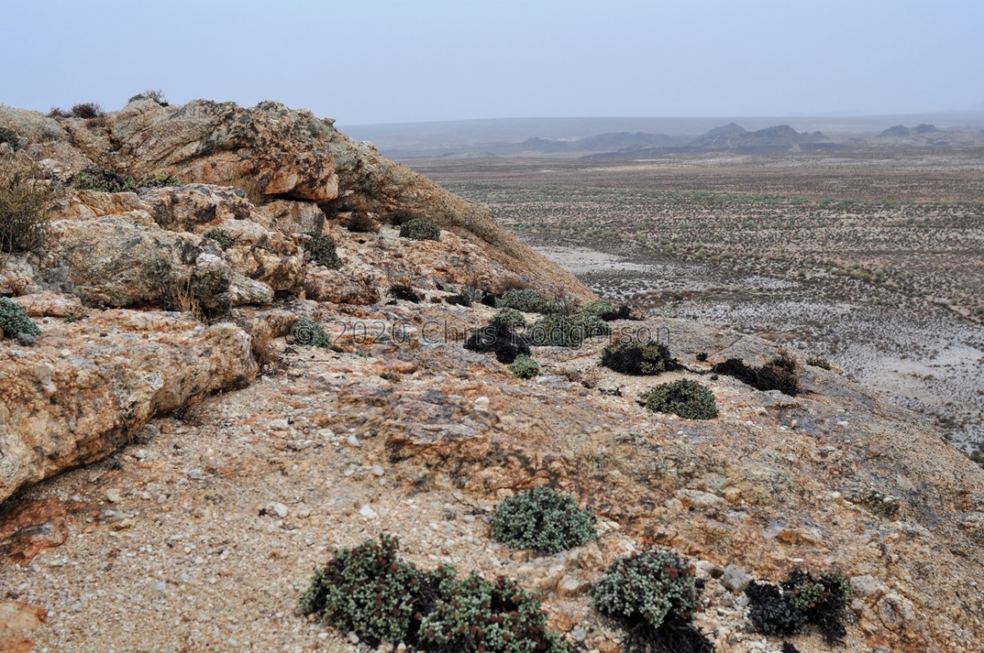 north of Steinkopf