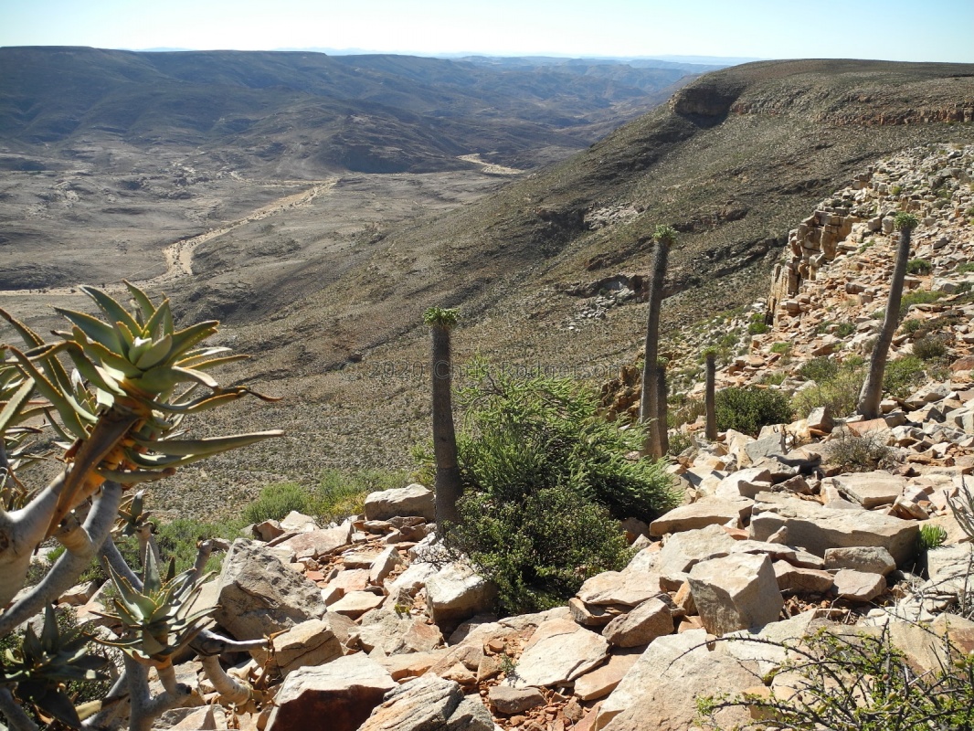 SE Richtersveld