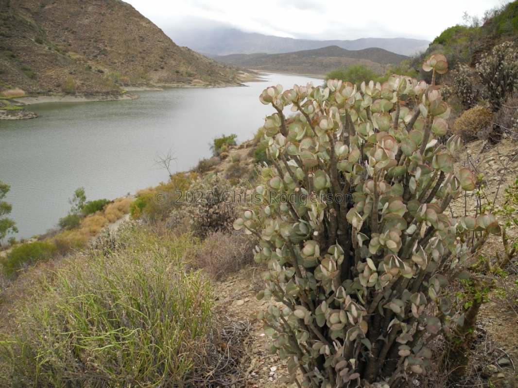 Poortjieskloof dam