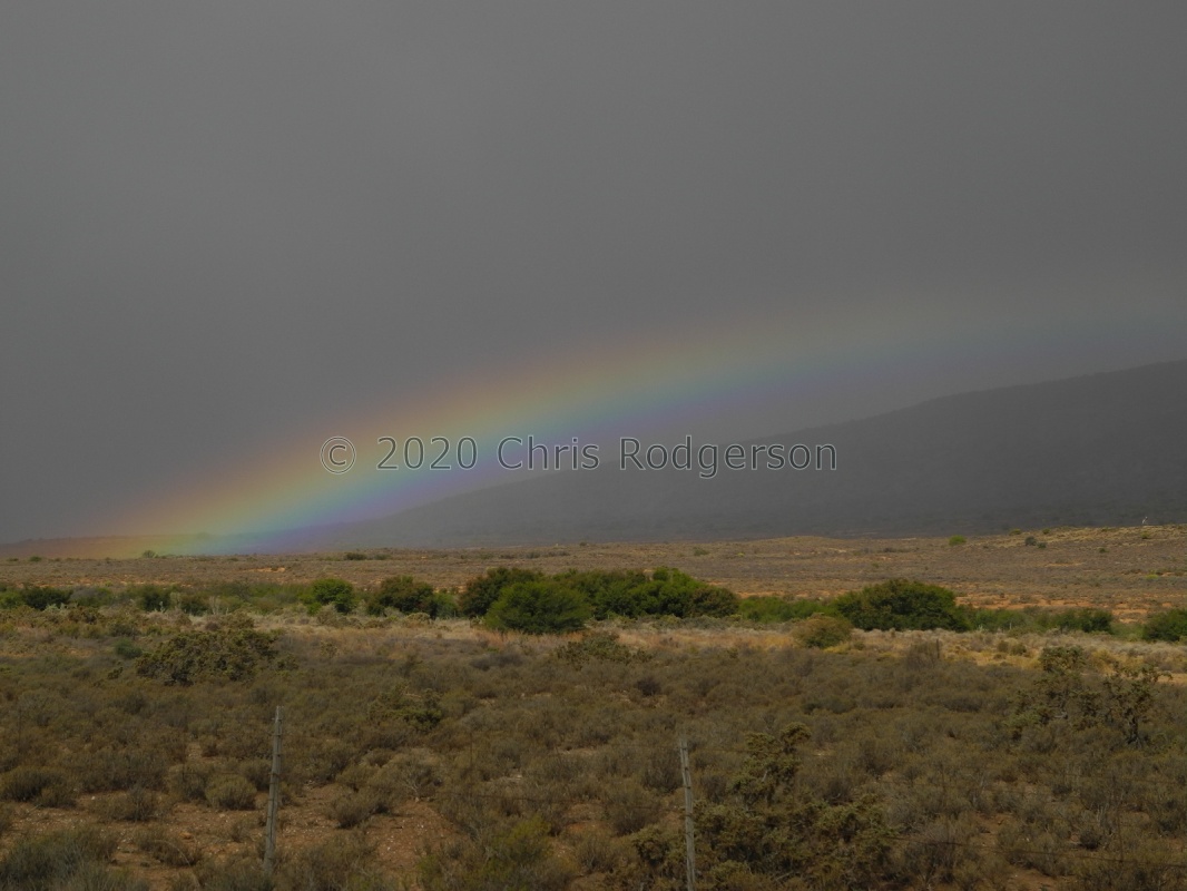 rain in the Little Karoo