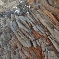 orbicum S Eksteenfontein (8)