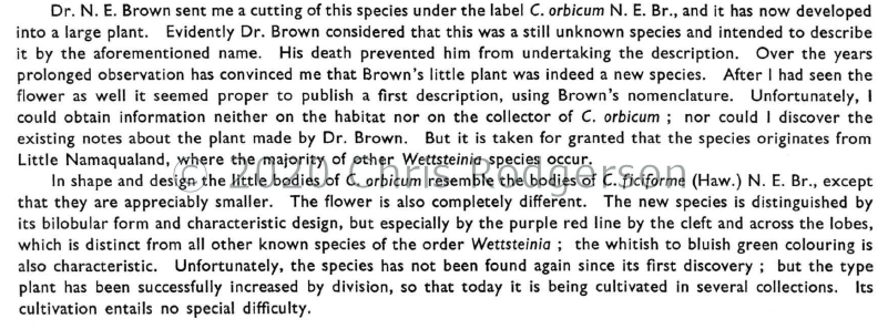 orbicum description discussion