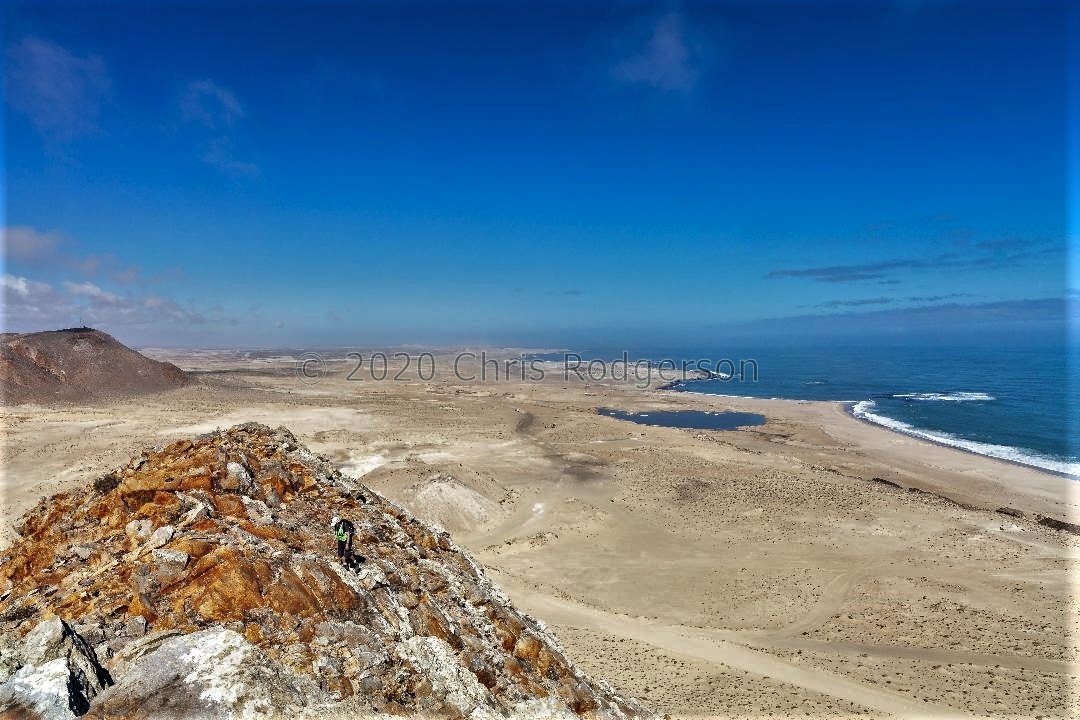botanizing by the sea 2018 (photo Andy Young)